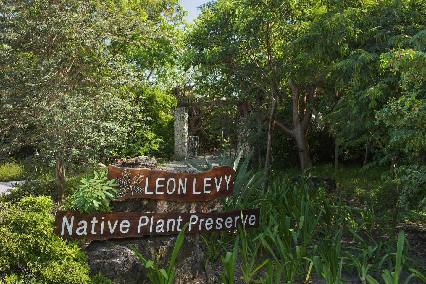 The Leon Levy Native Plant Preserve Raymond Jungles Inc