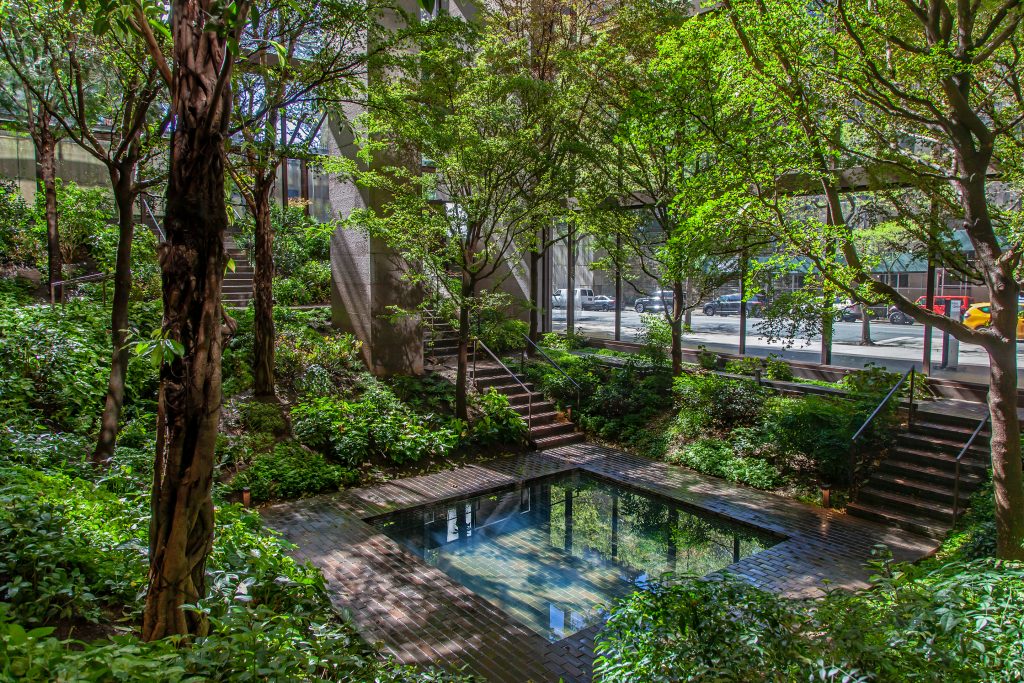 Ford Foundation Center for Social Justice | Raymond Jungles, Inc.