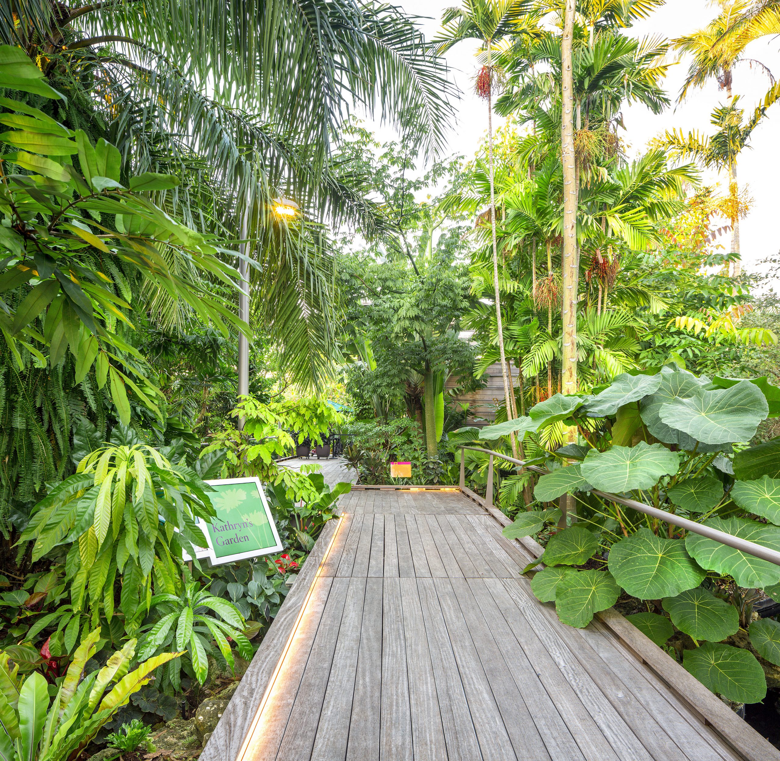 その他観葉植物 MAMMA AIUTO GARDEN! Visitor Center Garden at Naples Botanical Garden | Raymond Jungles